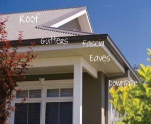 Roof gutters fascia downpipes